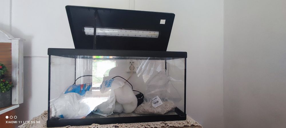 Acvariu plus accesoriile