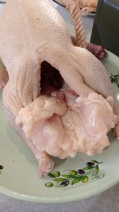 Продам гусей жирные