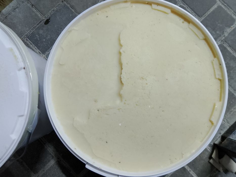 Мед Жантак оптом ведро 30 кг