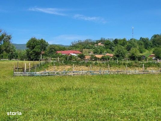 Teren extravilan arabil Tisau, ID: R2590475