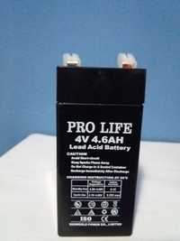 Acumulator Pro life 4v/4.6Ah