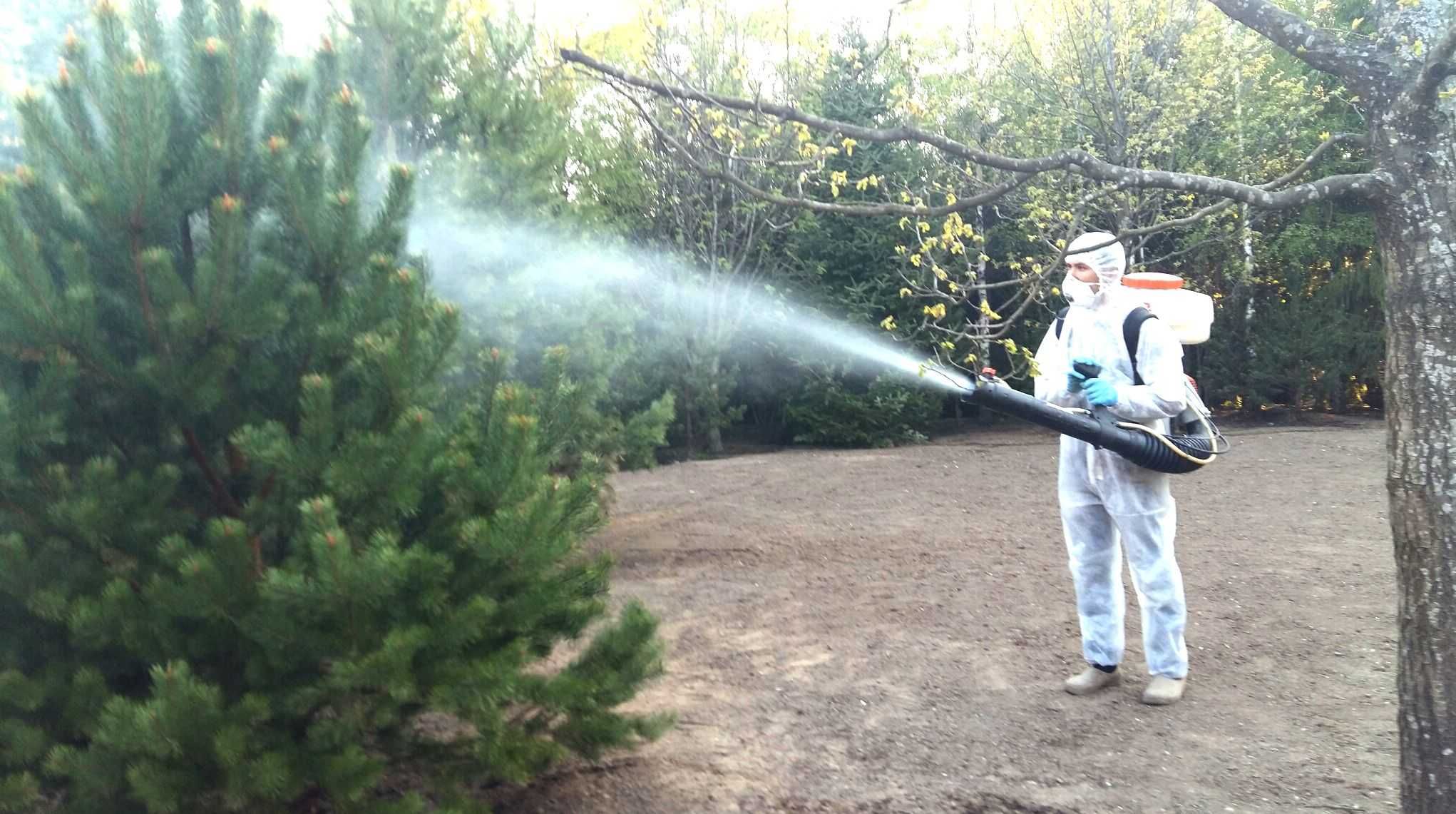 Уничтожение клопов, тараканов, блох, мышей, вирусов, плесени, запахов.