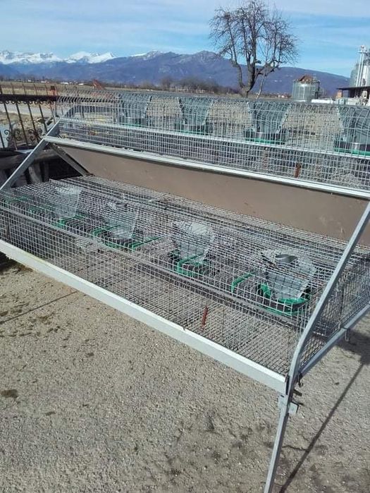 Custi iepuri profesionale