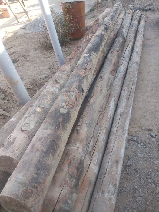 Дом и сад олх сарыагаш