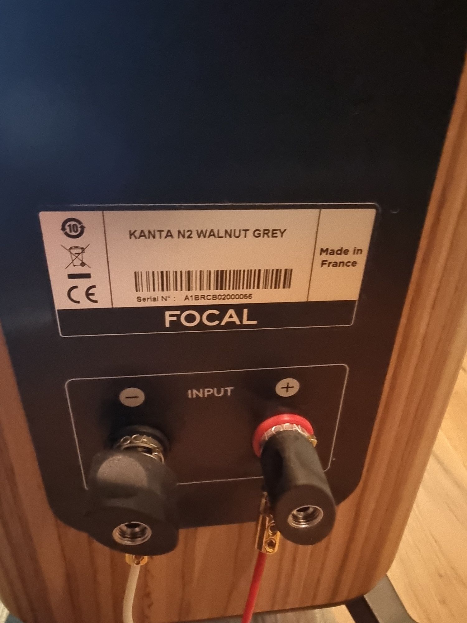 Focal Kanta 2  тонколони