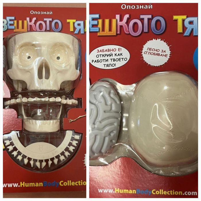 Човешкото тяло 1-ви и 2-ри брой