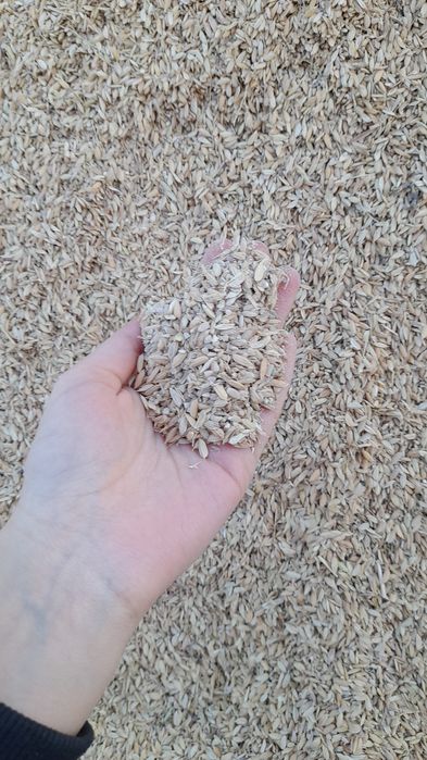 Күрмек сатылады срочно