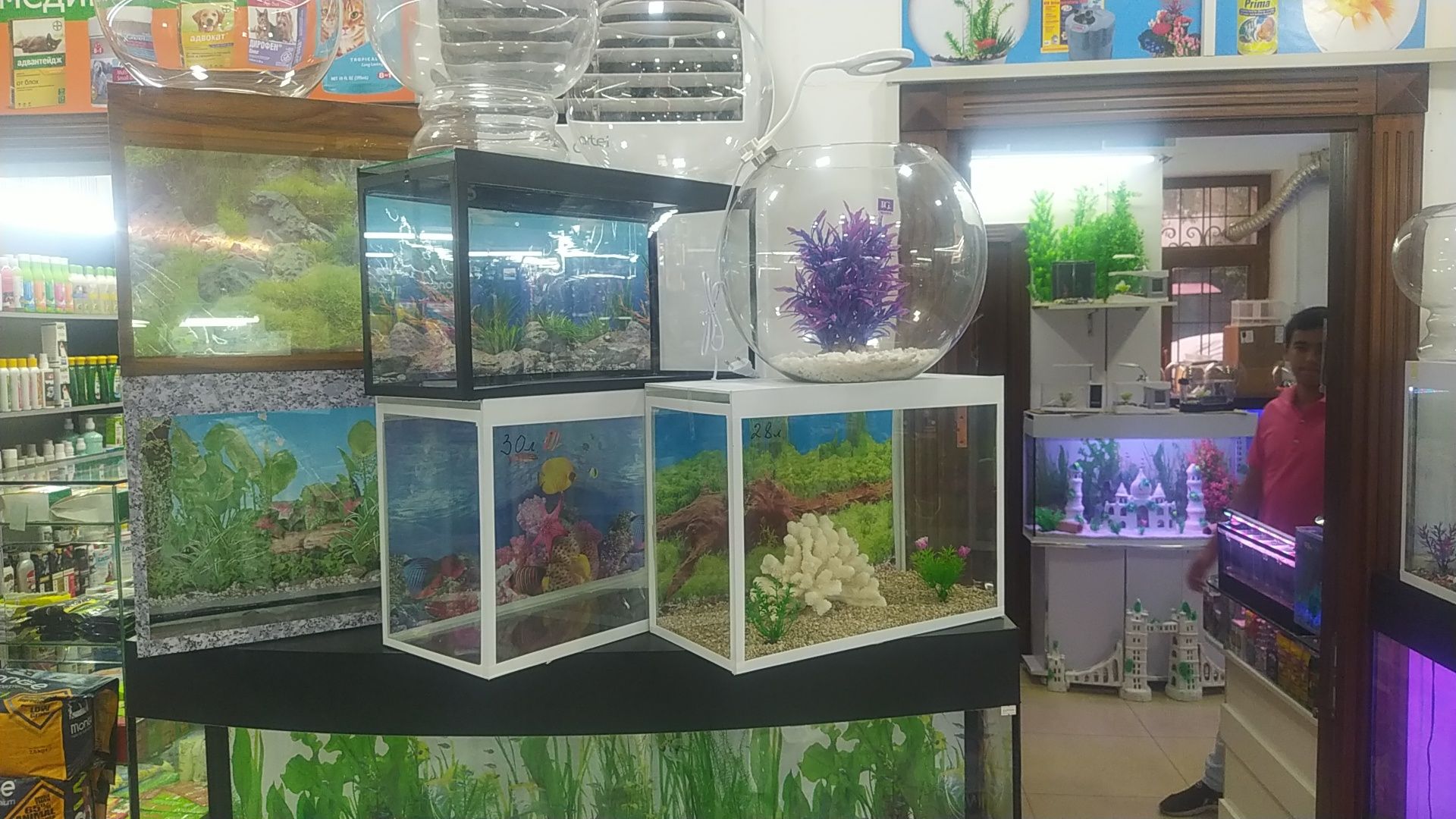 Akvarium va baliqlar Dökoni