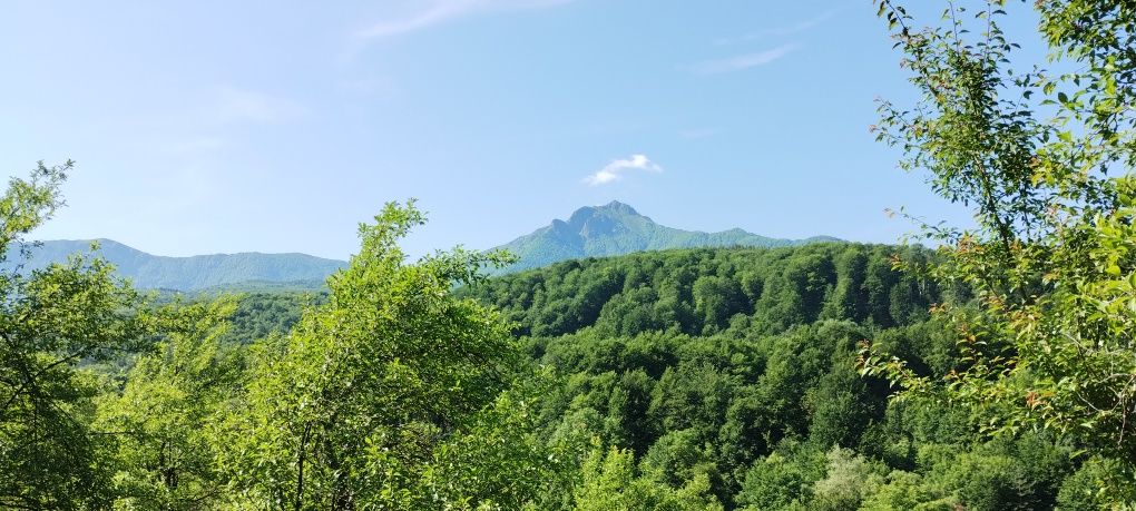Продава се Парцел в Априлци - 9145 кв.м за 9 €/кв.м - Снимка #9