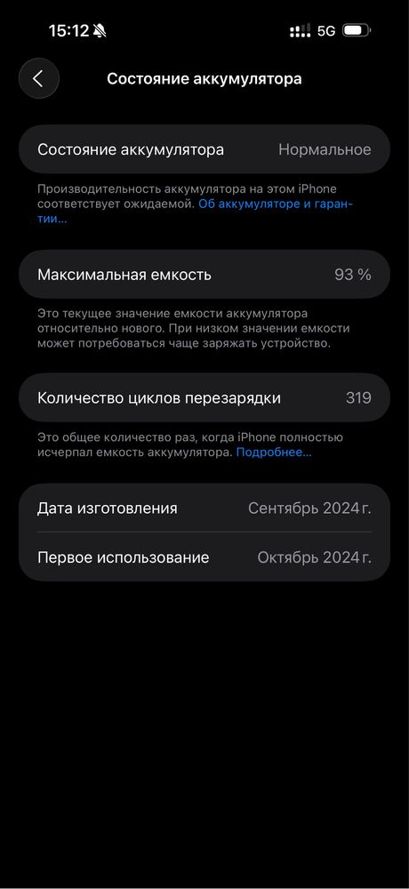 16 pro max 256 gb