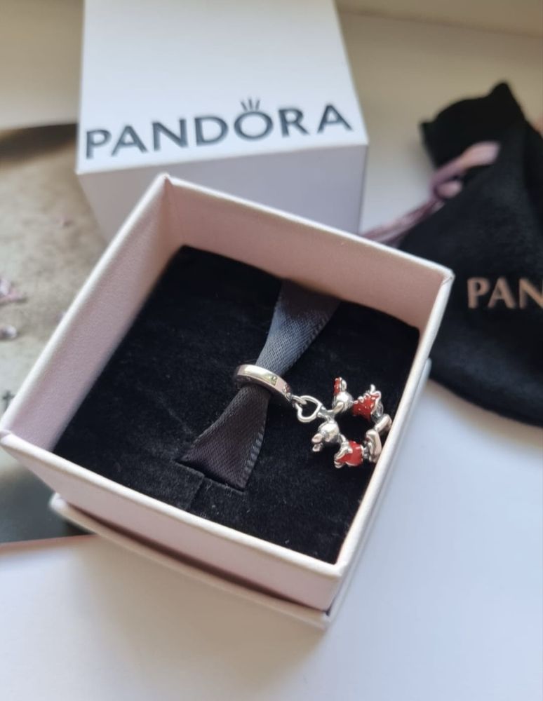 Talismane din argint diverse modele pentru bratara pandora