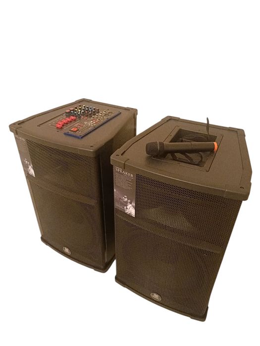 Boxe active Profesionale Eghe/Vlliodor/NRS/JBL 800W bluetooth + 2 mic