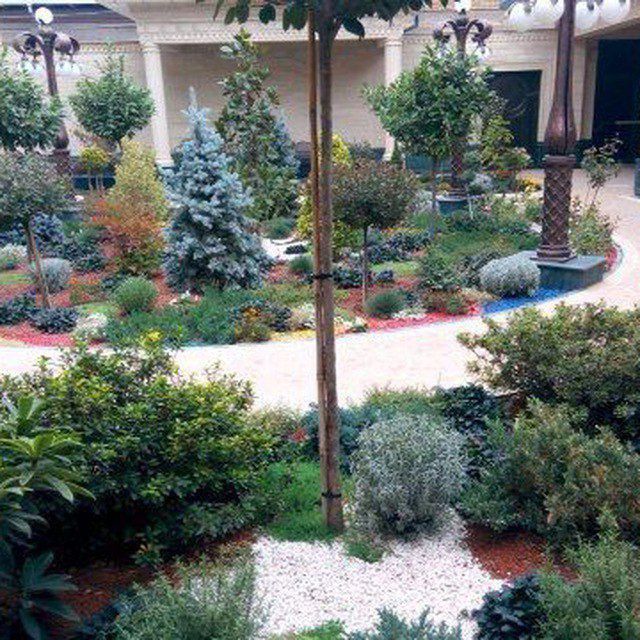 Sadovnik boğbon xizmati