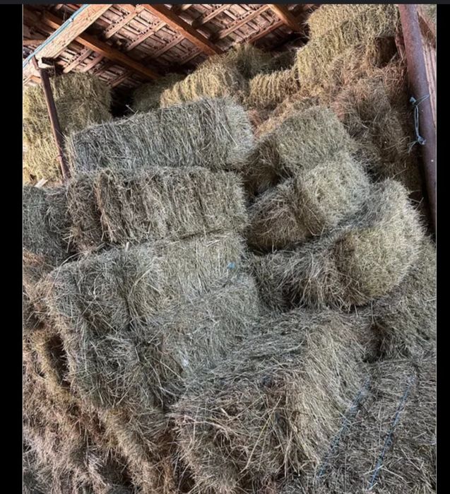 Baloti de fan cu transport la domiciliu