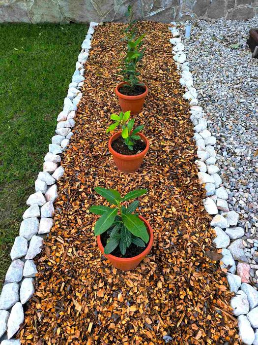 Натурален мулч череша