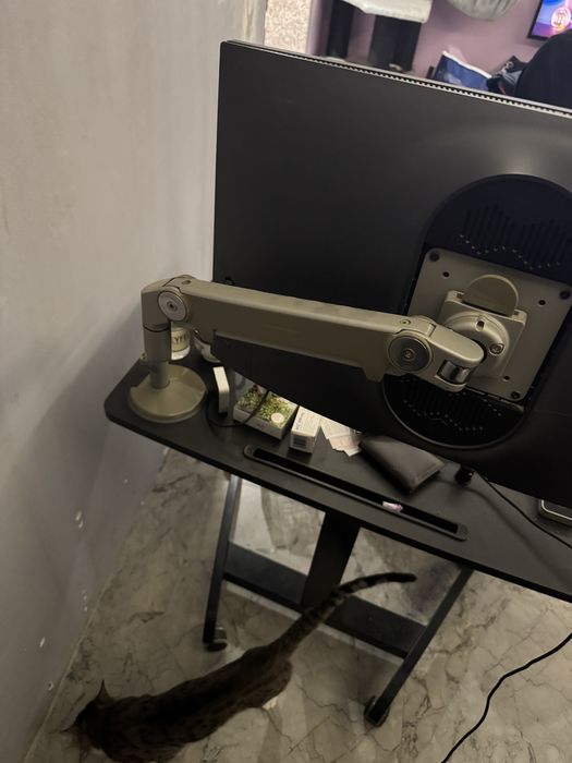 Brat monitor prindere birou humanscale