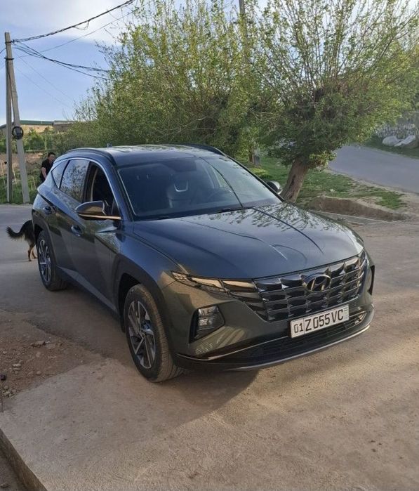 Avtoraqam, tonirovka, ishonchnoma, qayta jixozlash damasni sidenisi