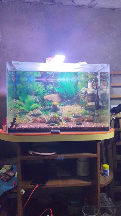 Продам аквариум хороший срочно срочно