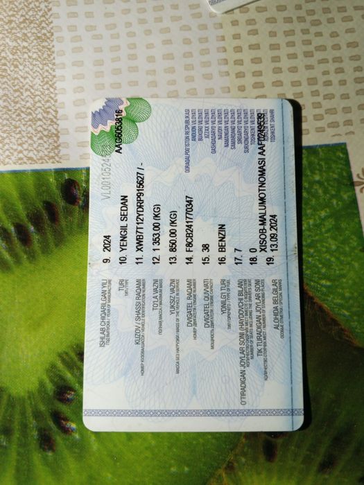 Damaz 2024-yil 8000$