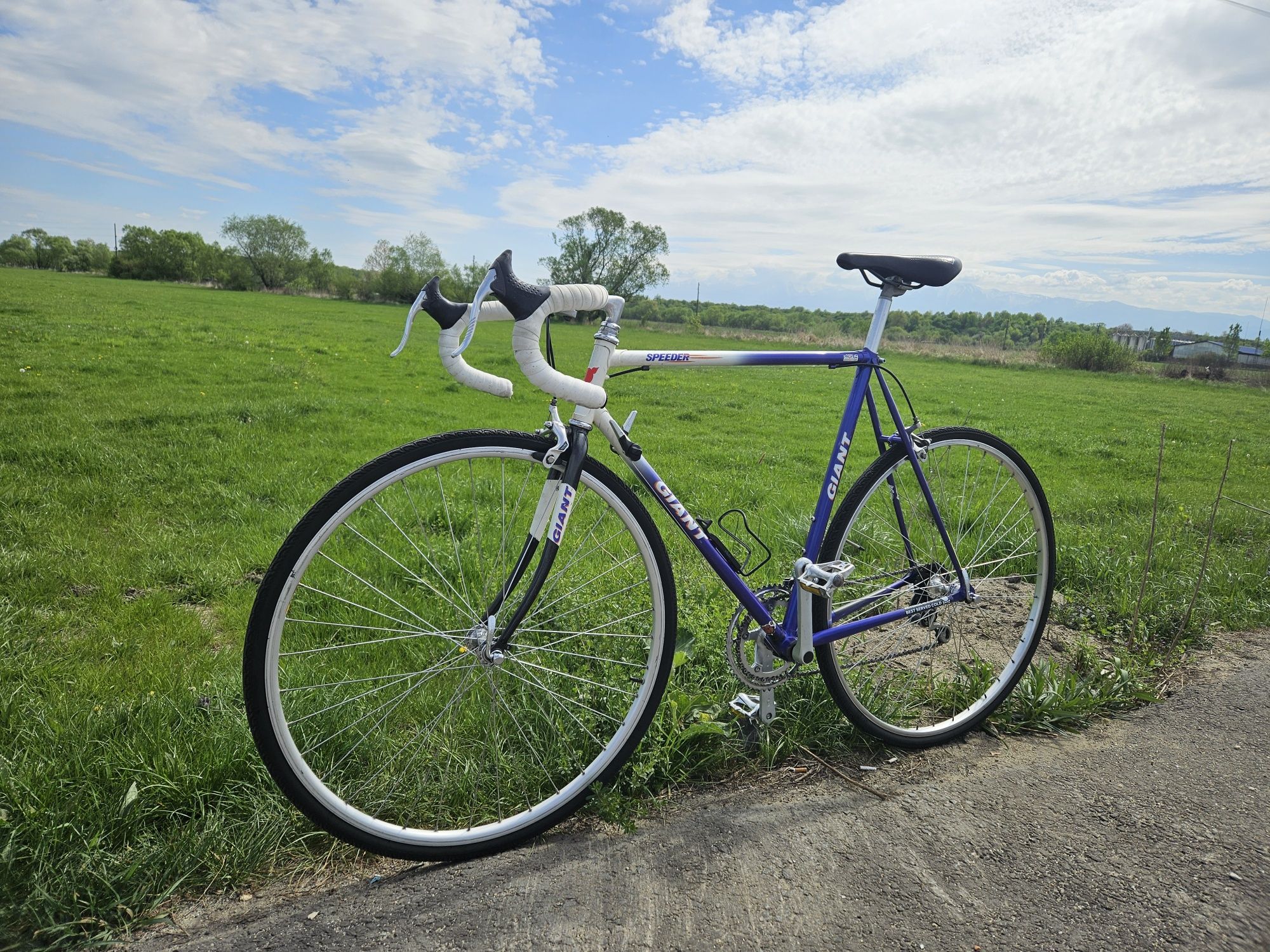 Vand Bicicelta Semicursiera Giant