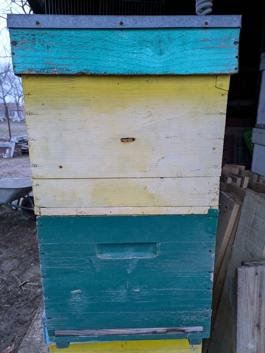 Vând cutii stupi 1/1 și rame