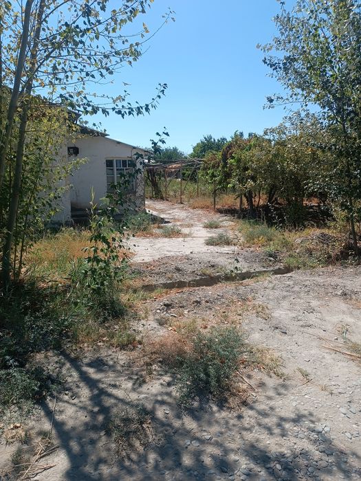 Uyni sharoitlari yaxshi