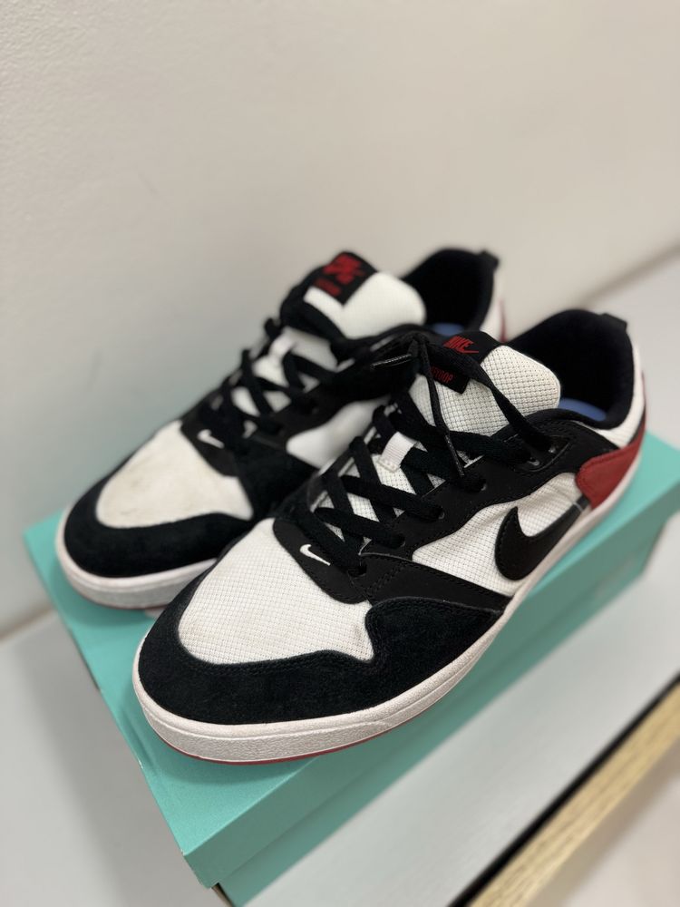 Nike SB Alleyoop