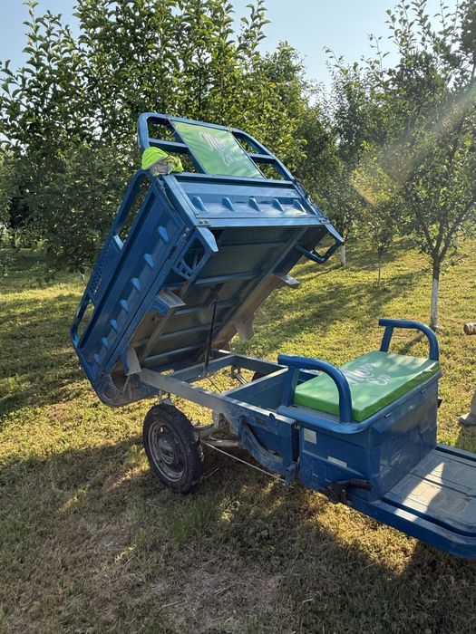 Triciclu electric Cargo Move Eco