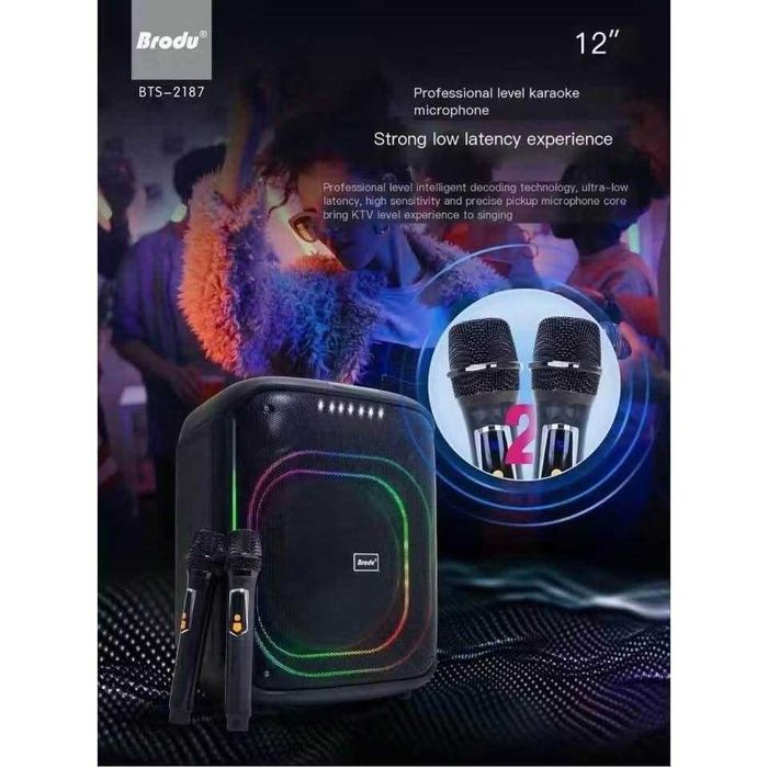 Boxa portabila Bluethooth MP3 USB FM BRODU BTS-2187 45W