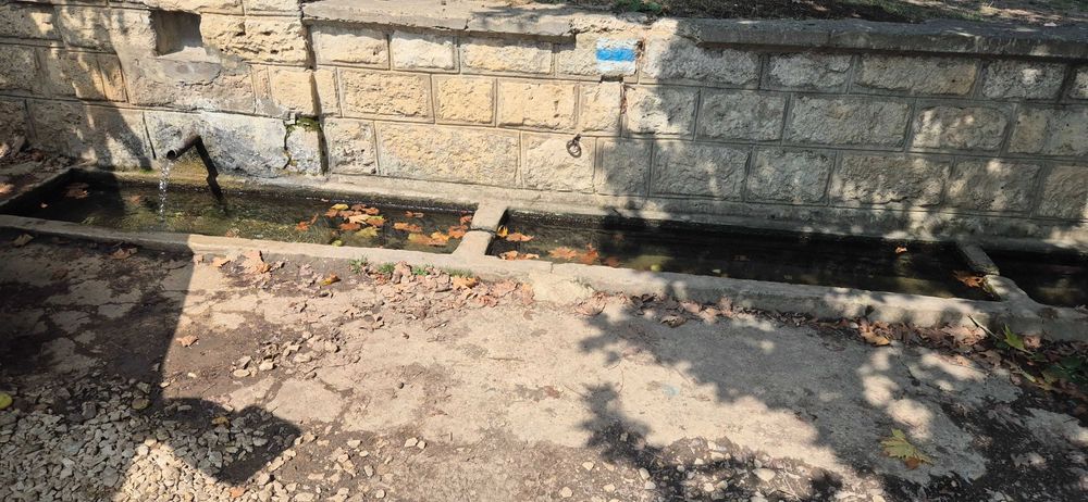 Дава се под наем Парцел в с. Кичево, Област Варна - 6000 кв.м за 204 € - Снимка #2