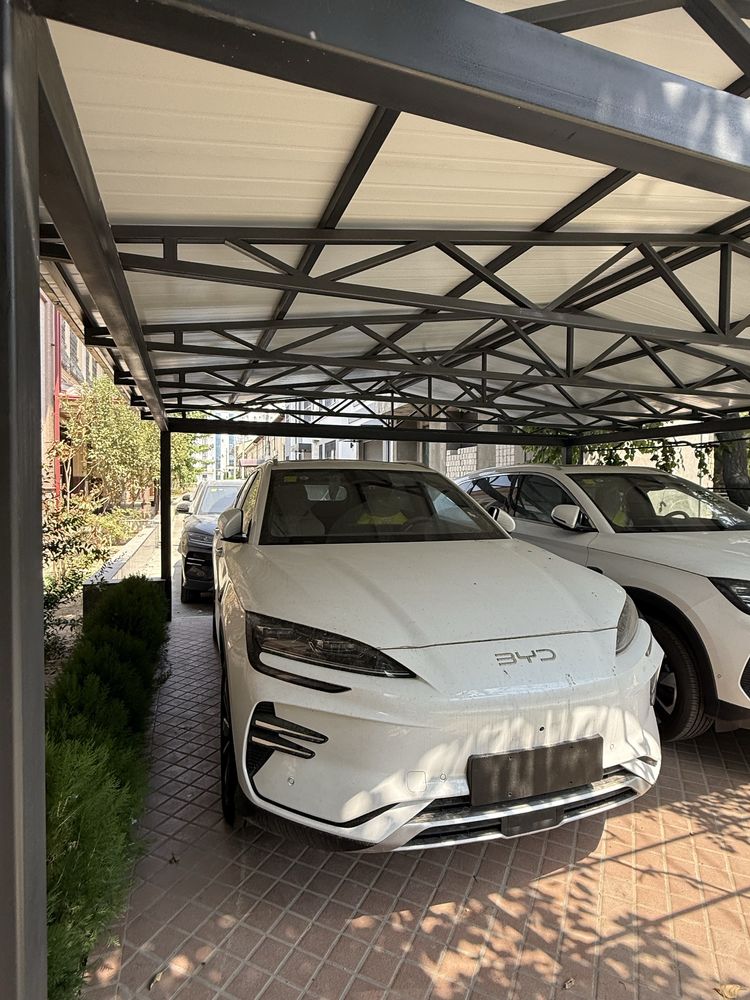 Byd chempion smart 2026
