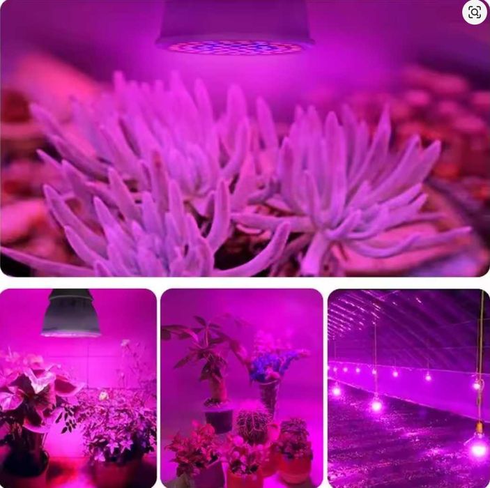 Bec pentru cresterea plantelor cu 300 leduri