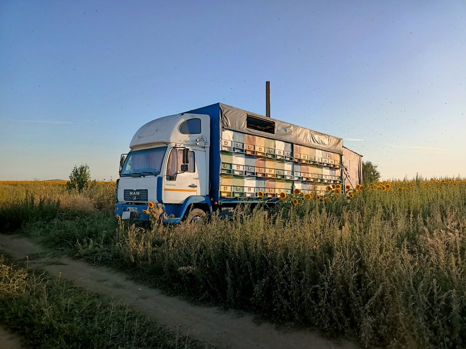Vand camion Man LE 12.220 apicol