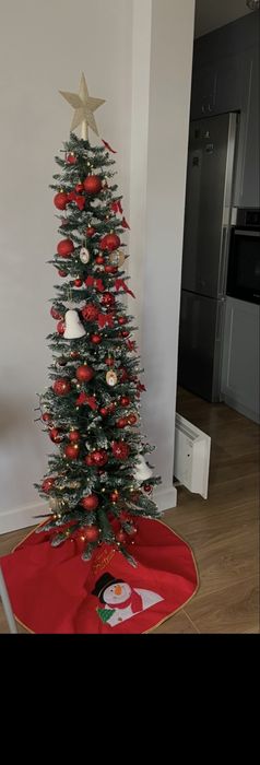 Елха, 180 см, заскрежени връхчета