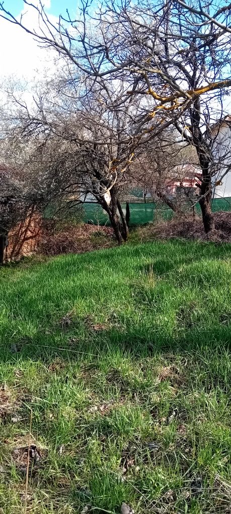 Парцел в регулация