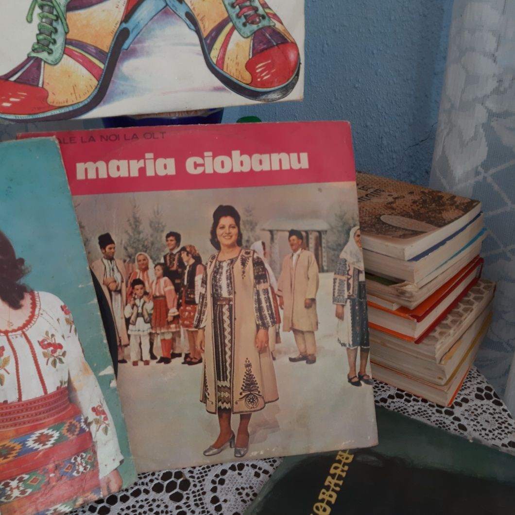 Placi vinil cu artiști renumiti