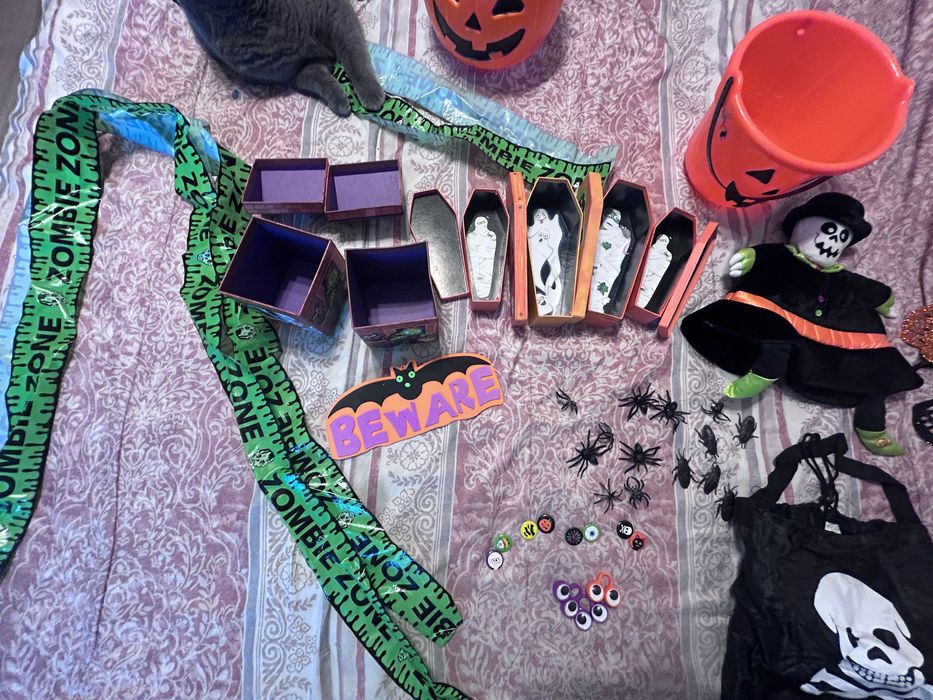 Decoratiuni si accesorii Halloween