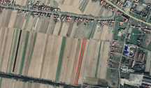 Vand teren extravilan in Belint langa Timisoara 3100 mp2