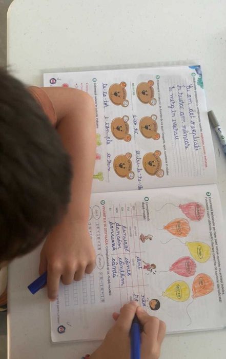 CENTRU EDUCATIONAL - afterschool sector 4, Bucuresti