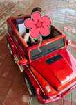 Mercedes gelend vagen