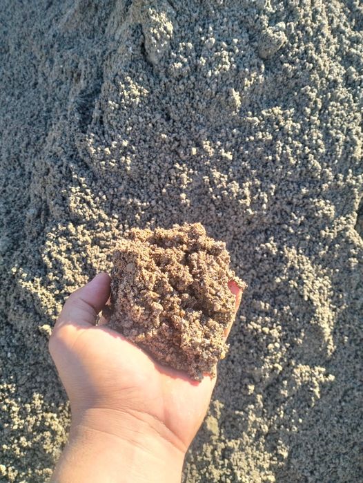 Клинекс.шебн песок