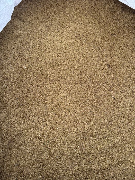 Семе люцерна Приста 3