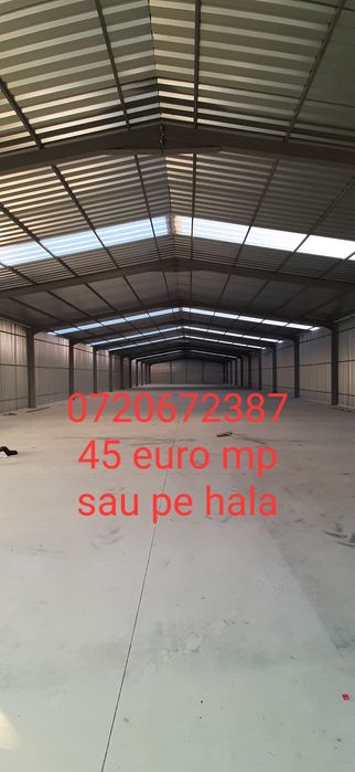 Vand cadre hale metalice