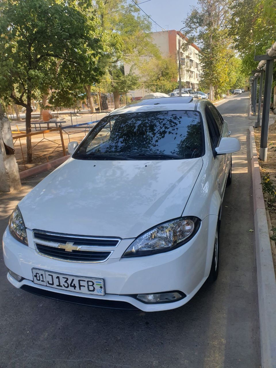 Jentra 2019 oq kraska bor