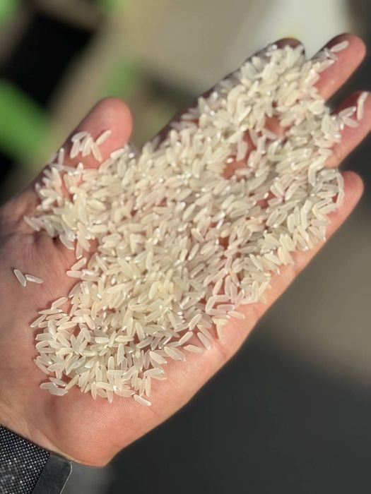 Lazer - GURUCH optom