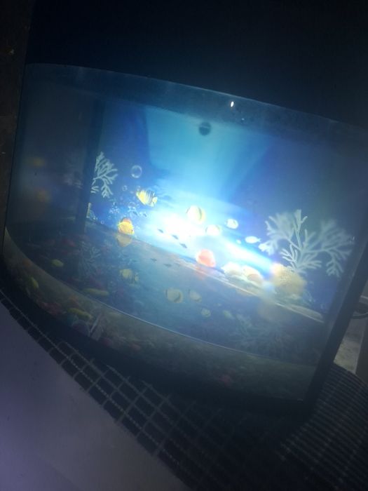 Продам аквариум  с рыбками с обогревателем с кислородом