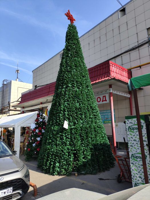 Успейте! 10м елка со скидкой 25% – Новогодняя высота!