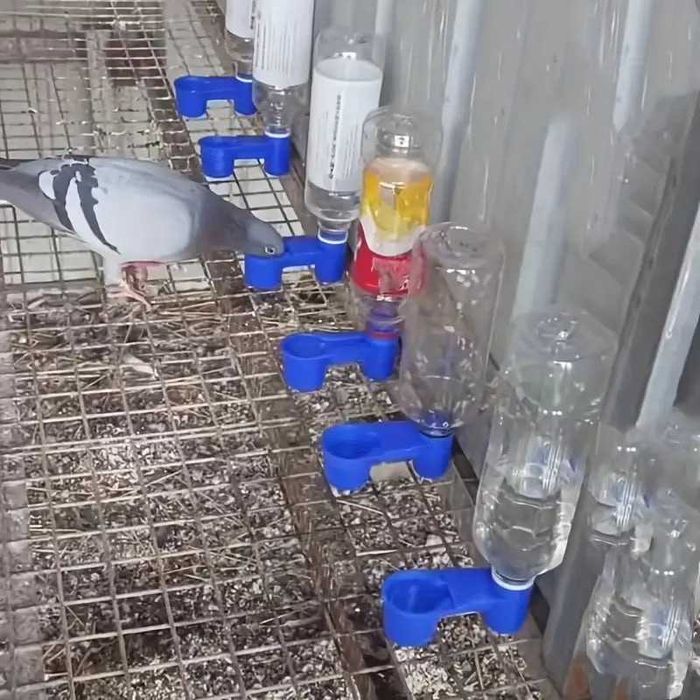 Сув ичадиган товук ва кушларга 15000сум  Тошкент