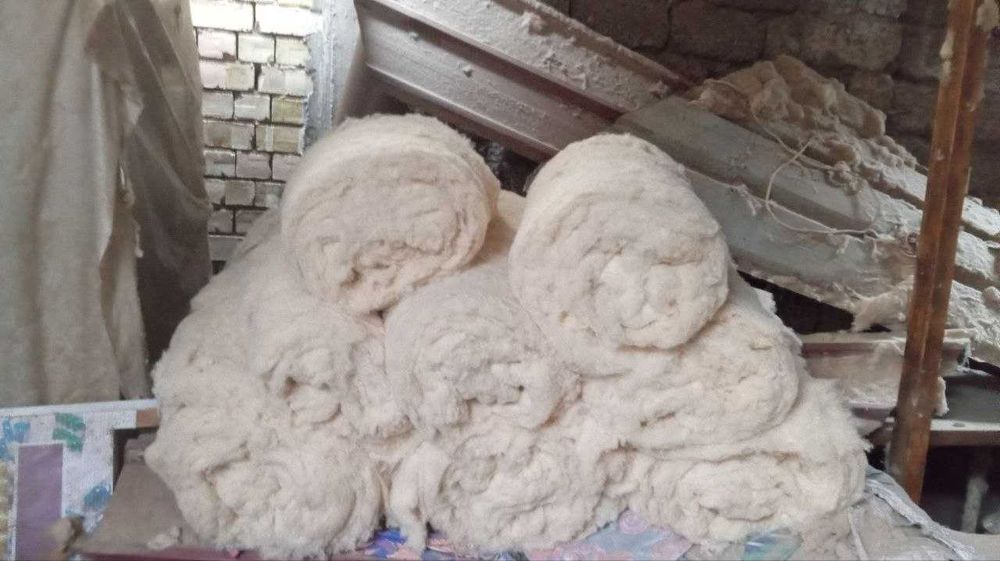 Paxta sotiladi  Пахта сотамиз