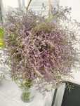 Buchet flori nemuritoare